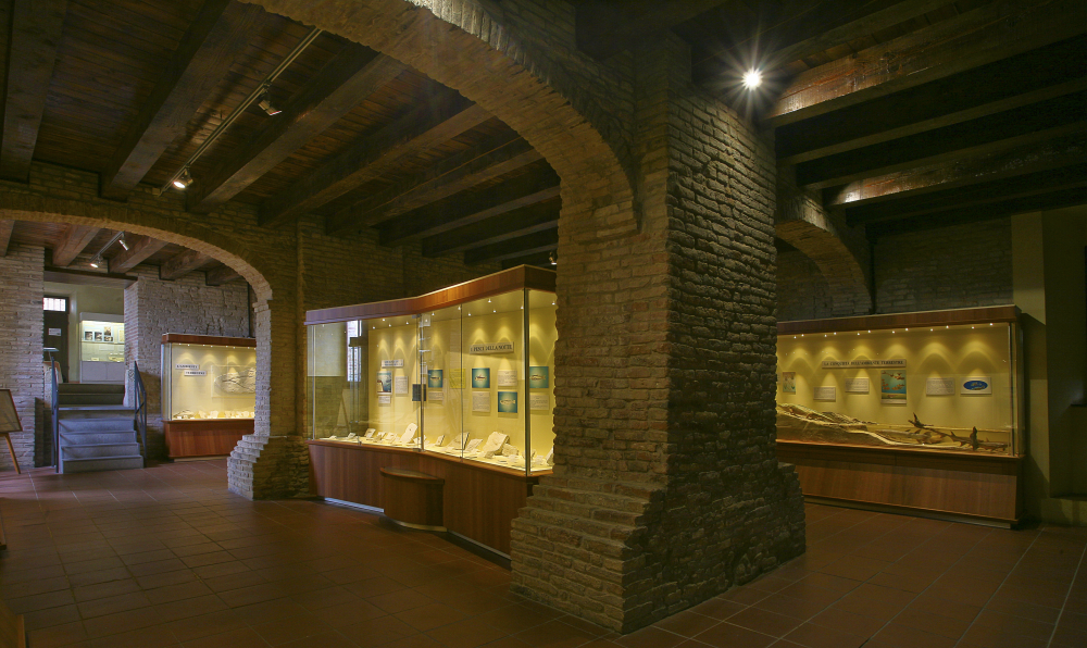 Mostra maioliche, Mondaino foto di PH. Paritani