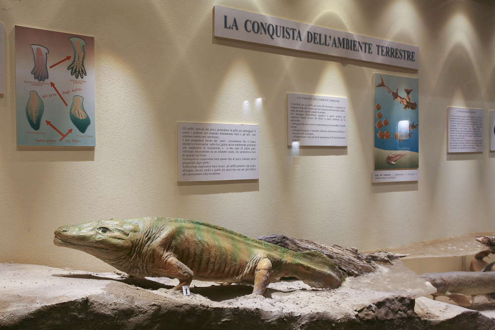 Museo paleontologico, Mondaino foto di PH. Paritani