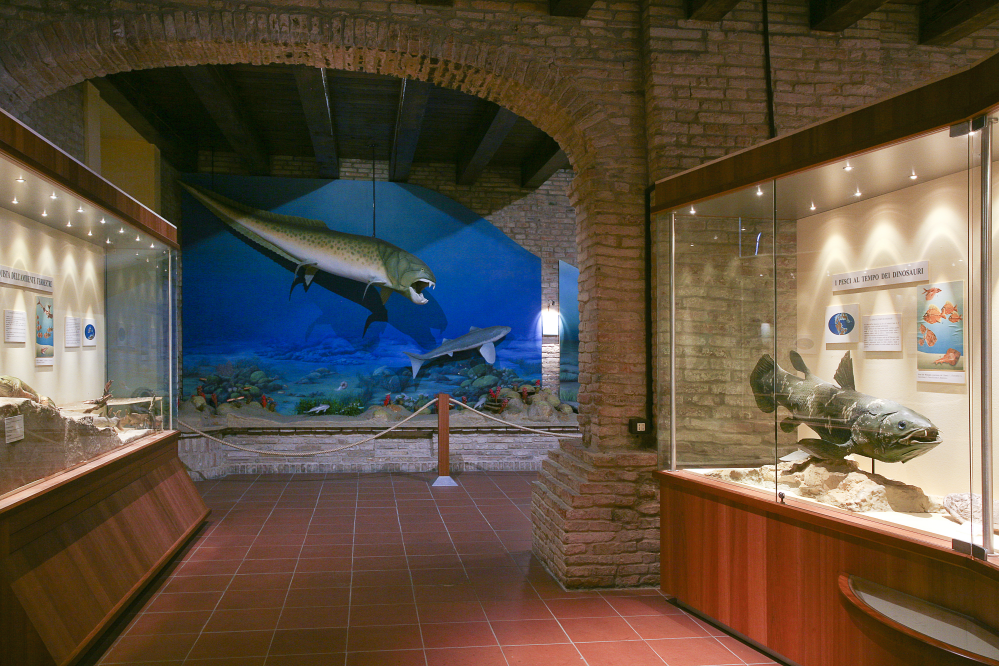 Museo paleontologico, Mondaino foto di PH. Paritani