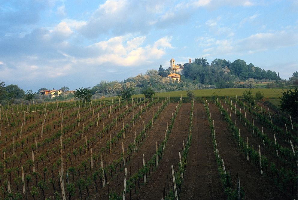 Campagna photos de T. Mosconi