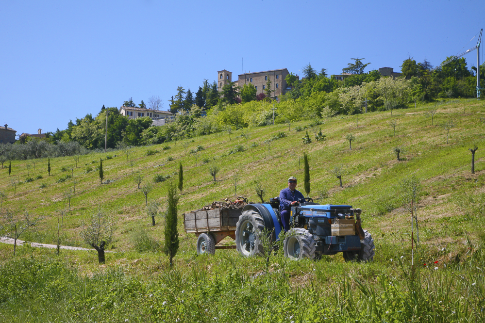 Countryside, Montegridolfo photo by PH. Paritani