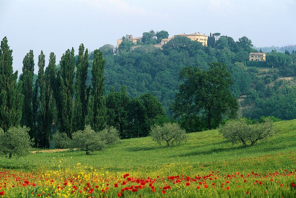 Campagna photos de T. Mosconi