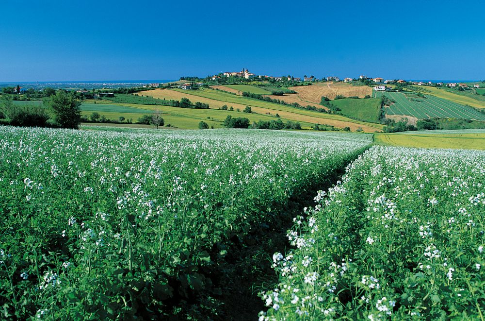 Campagna foto di T. Mosconi