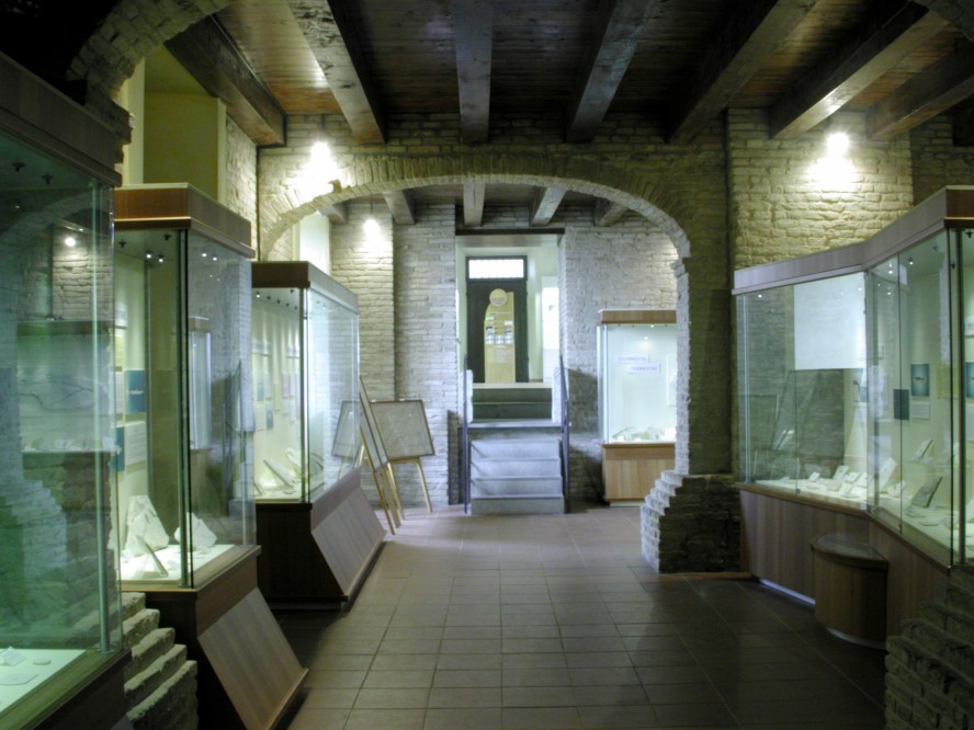 museo paleontologico, Mondaino foto di Archivio Provincia di Rimini