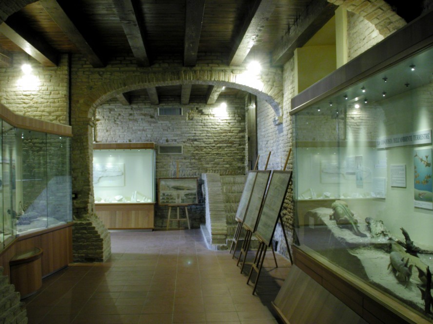 palaeontology museum, Mondaino photo by Archivio Provincia di Rimini