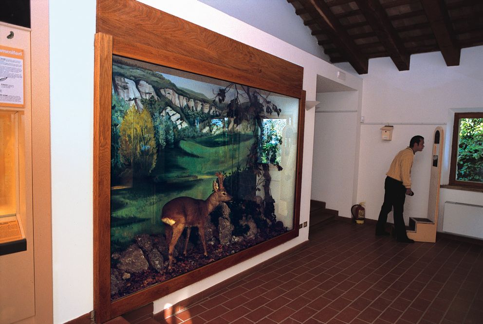 Onferno foto di Archivio Provincia di Rimini