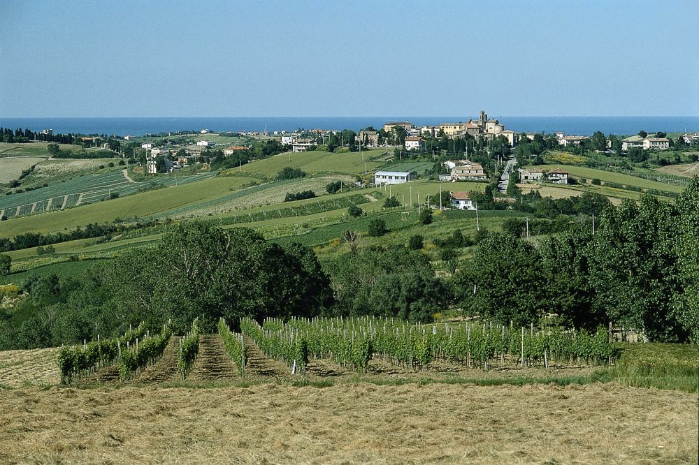 campagna, San Clemente foto di T. Mosconi