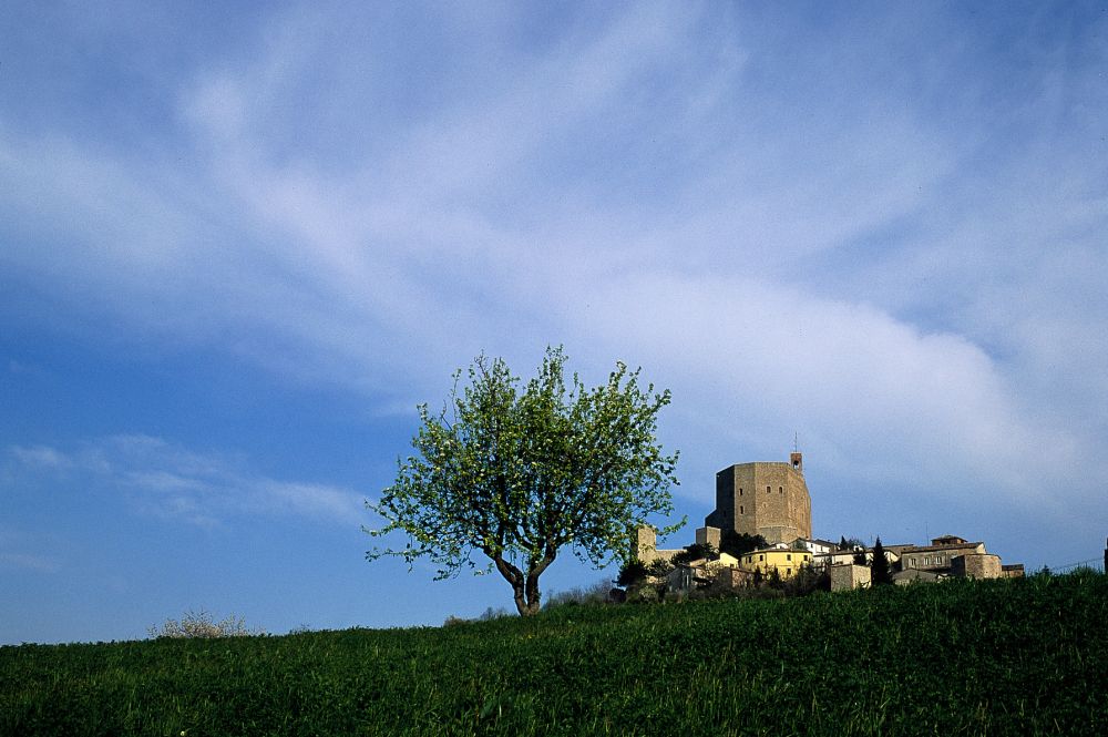 Veduta della rocca di Montefiore Foto(s) von T. Mosconi