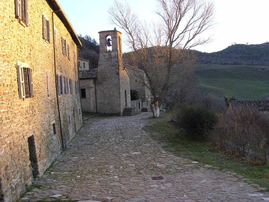 Sasso Simone and Simoncello game reserve photo by Archivio fotografico Parco Sasso Simone