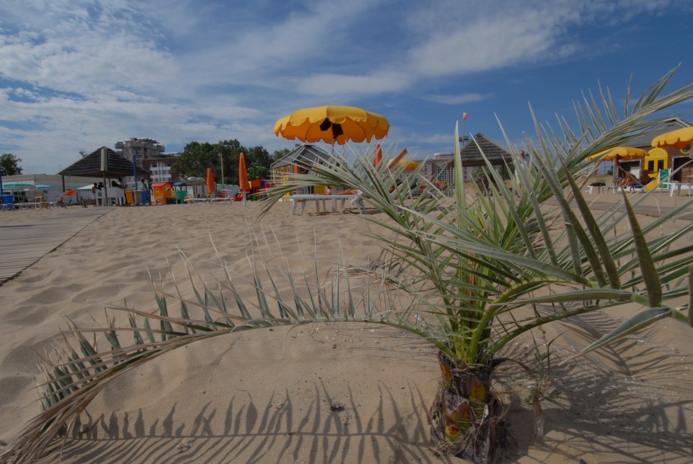 Spiaggia e ombrelloni, Riccione foto di Archivio Provincia di Rimini