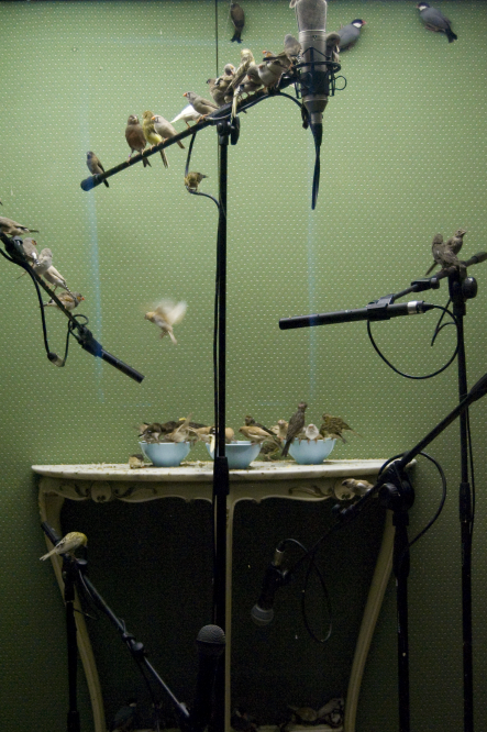 Santarcangelo dei Teatri photo by Archivio Provincia di Rimini