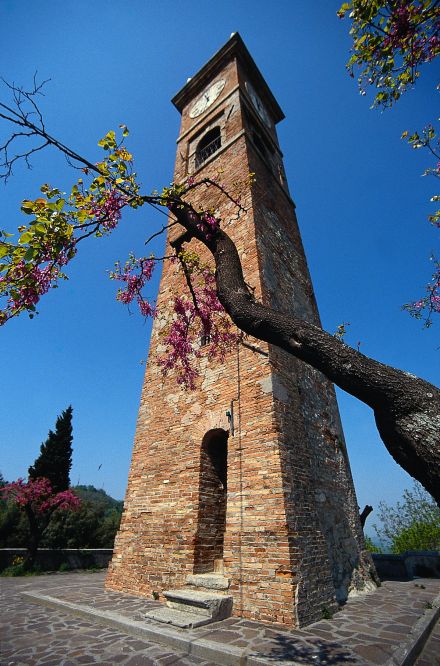 Torre campanaria, Montescudo foto di S. di Bartolo