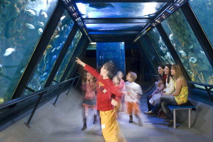 Cattolica, Acquario Le Navi foto di Archivio fotografico Acquario Le Navi