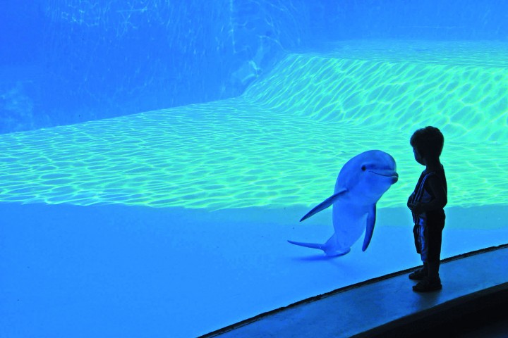 Oltremare, Riccione photos de Archivio fotografico Parco Oltremare