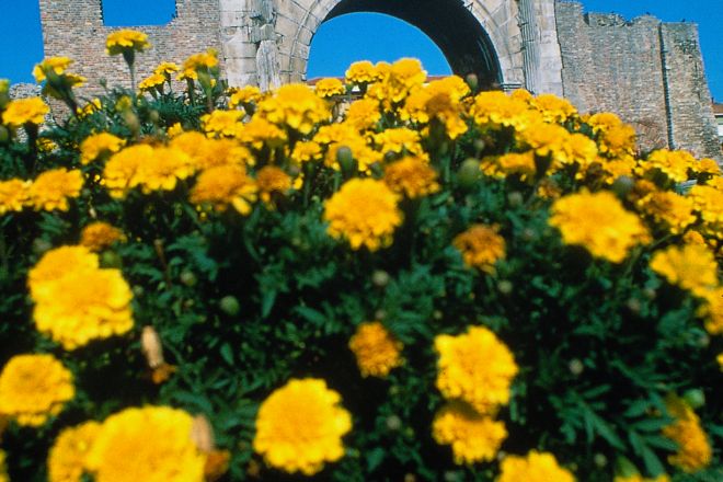 Arco d'Augusto Foto(s) von Archivio Provincia di Rimini