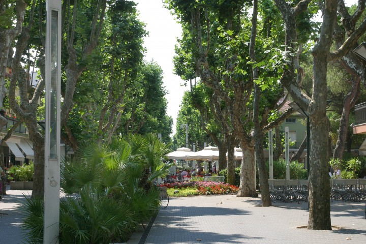 viale dei Platani, Bellaria Igea Marina Foto(s) von PH. Paritani