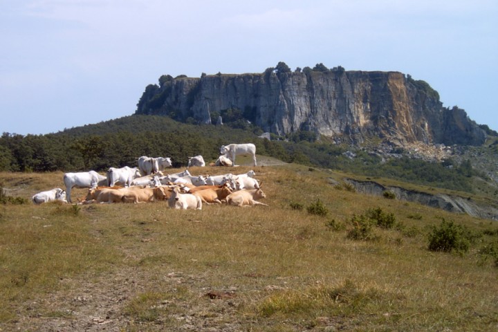 Parco naturale del Sasso Simone e Simoncello photos de Archivio fotografico Parco Sasso Simone