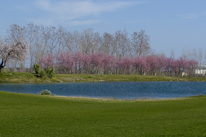 San Giovanni in Marignano, Riviera Golf Foto(s) von Archivio Provincia di Rimini