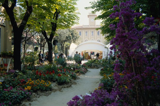 Cattolica in fiore foto di T. Mosconi