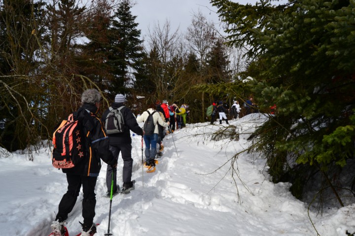 Sulla neve al Parco del Sasso Simone e Simonecello. Ciaspolata foto di Archivio fotografico Parco Sasso Simone