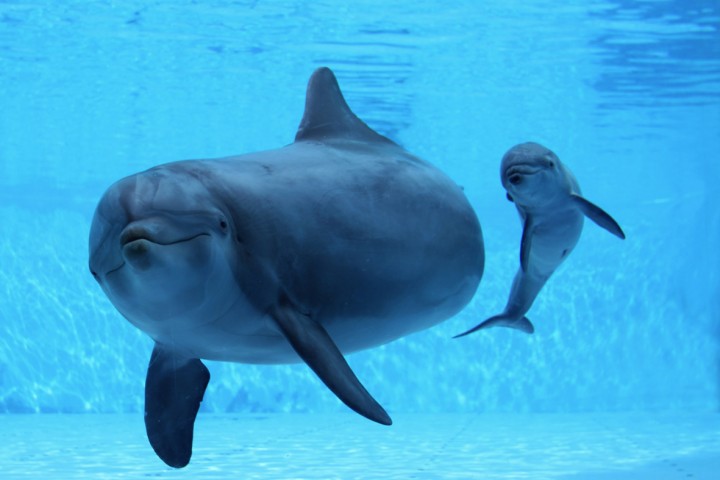 Oltremare, Riccione photos de 