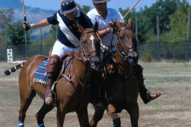 Cricket photos de L. Bottaro