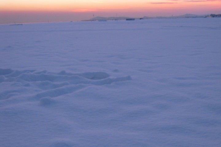 Rimini??? Sicuri??? photo by L. Pollio