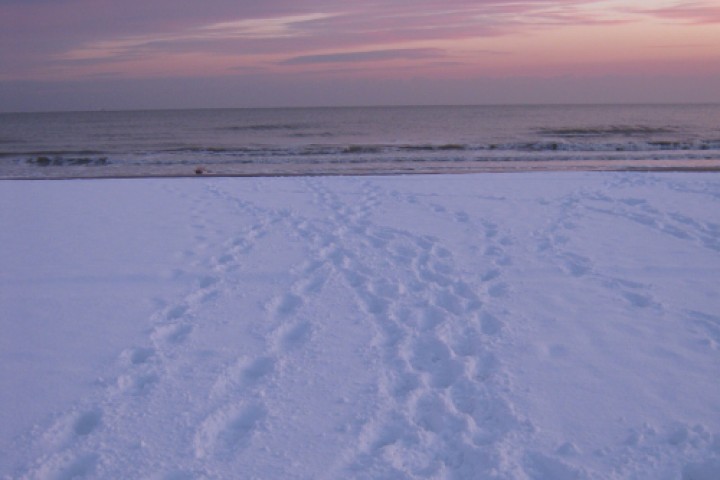 Rimini, beach in winter photo by L. Pollio