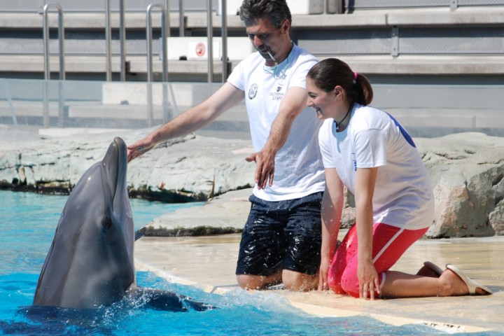 Oltremare, dolphins. Riccione photo by Archivio Provincia di Rimini