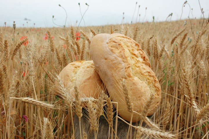 festa del pane, Maiolo Foto(s) von Archivio Provincia di Rimini