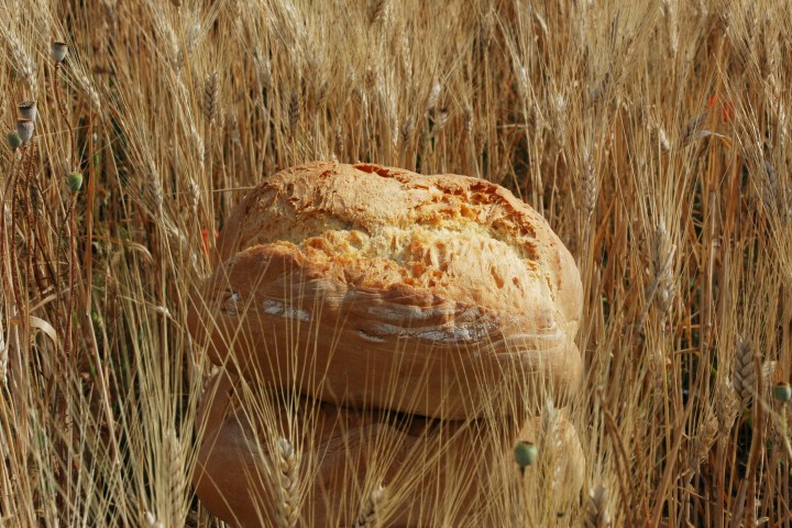 festa del pane, Maiolo Foto(s) von Archivio Provincia di Rimini