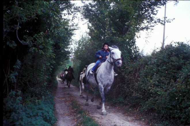 Equitazione photos de E. Salvatori