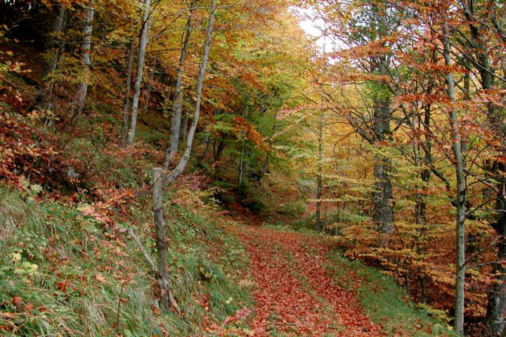 Parco naturale del Sasso Simone e Simoncello photos de Archivio fotografico Parco Sasso Simone