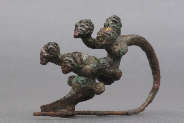 Bronze fibula, Verucchio photo by Archivio Provincia di Rimini