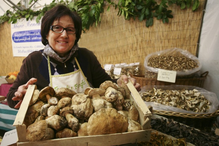 Fiera di San Martino, Santarcangelo di Romagna foto di PH. Paritani