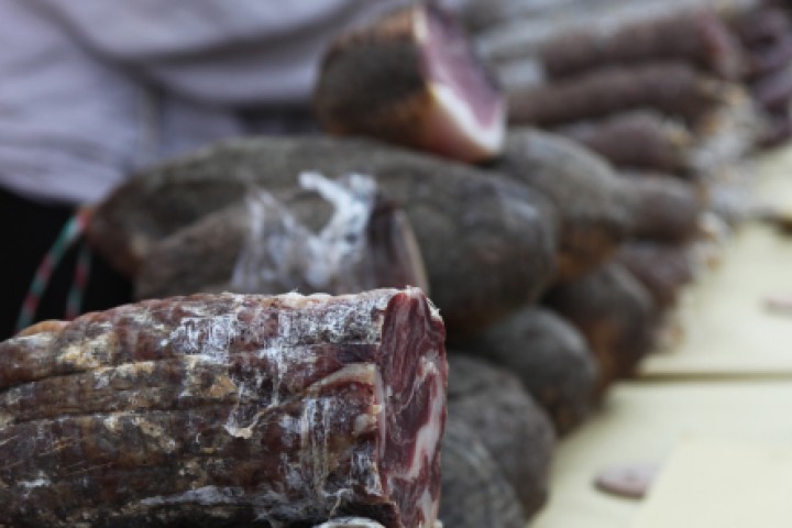 The deer Palio, Mondaino photo by PH. Paritani