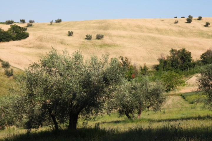 Verucchio photo by PH. Paritani