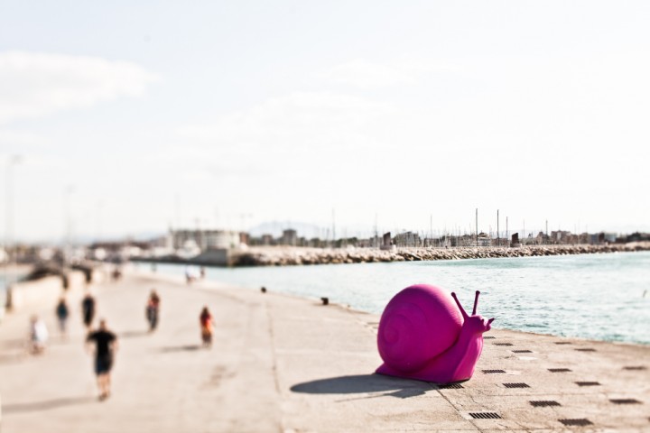 The pink night - La Notte Rosa, Rimini photo by Chico De Luigi