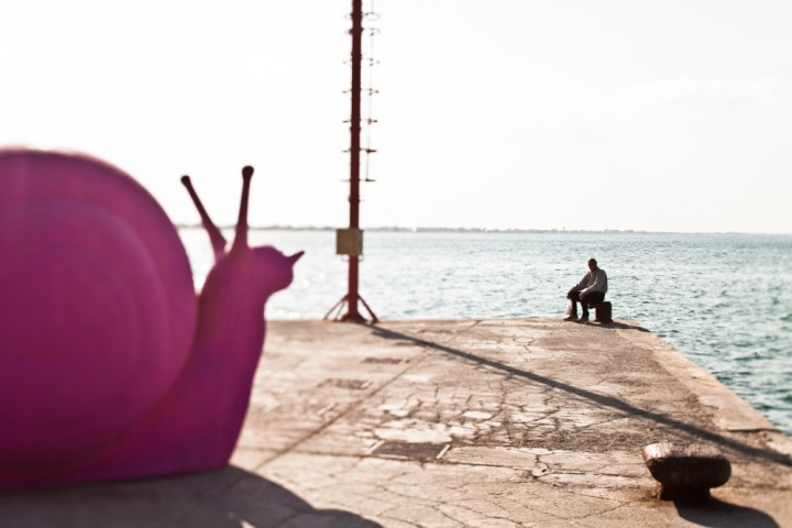 The pink night - La Notte Rosa photo by Chico De Luigi