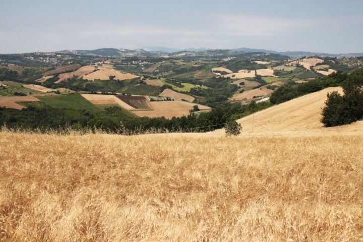 Campagna, Mondaino foto di PH. Paritani