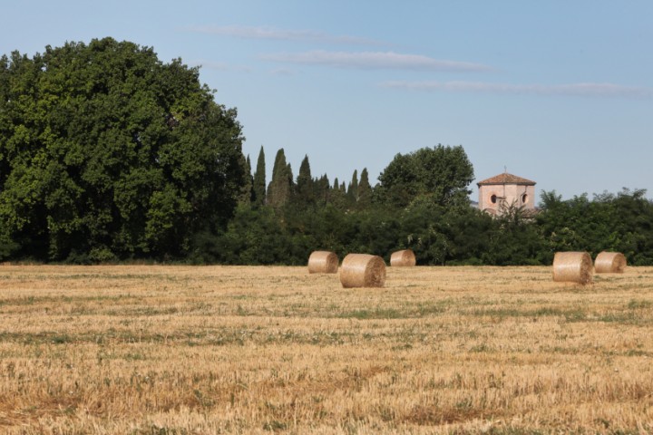 Campagna, Santarcangelo di Romagna Foto(s) von PH. Paritani