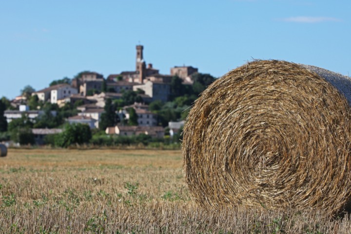 Campagna, Santarcangelo di Romagna foto di PH. Paritani