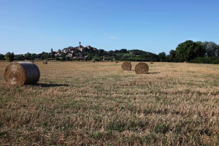 Countryside, Santarcangelo di Romagna photo by PH. Paritani