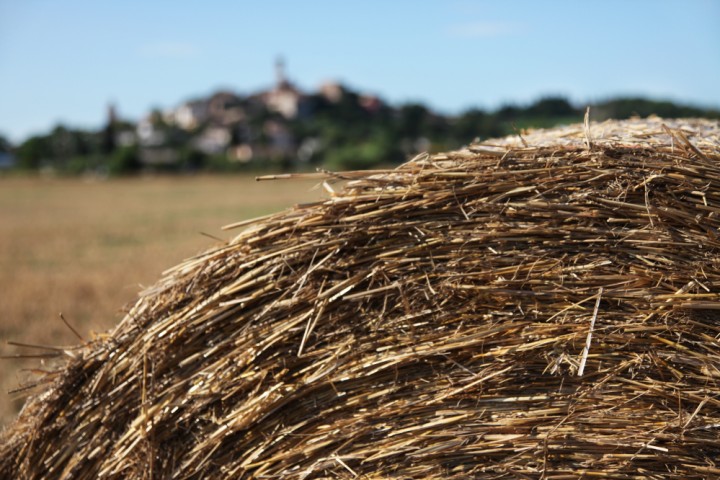 Countryside, Santarcangelo di Romagna photo by PH. Paritani