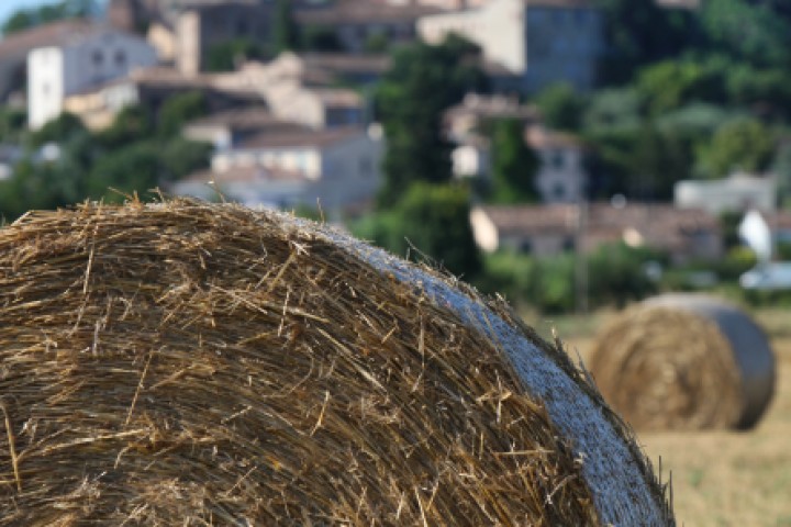 Santarcangelo di Romagna photo by PH. Paritani