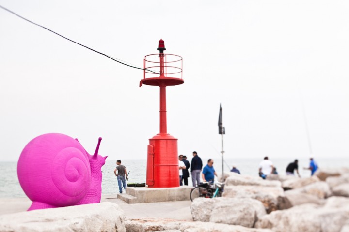 The pink night - La Notte Rosa, Rimini photo by Chico De Luigi