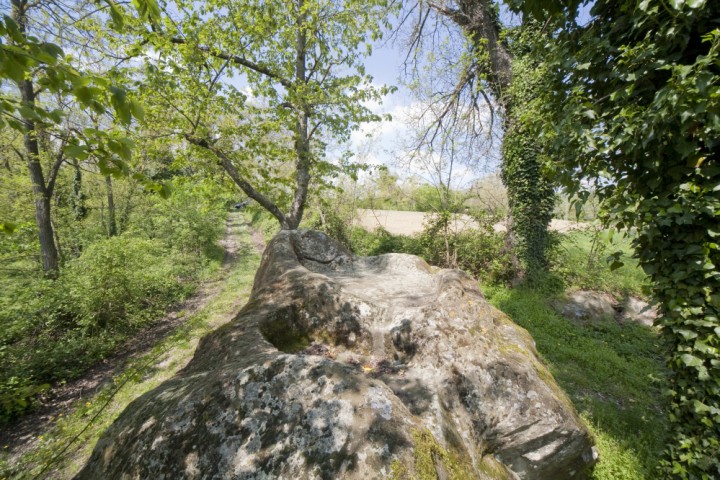 Novafeltria, loc. Torricella, sacrificial area photo by PH. Paritani