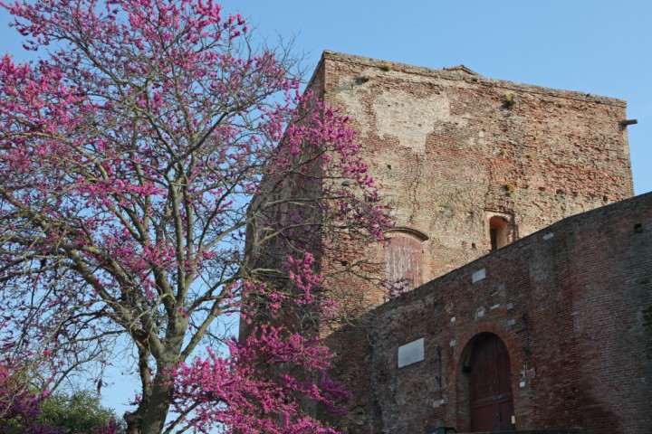 Rocca Malatestiana, Santarcangelo di Romagna foto di PH. Paritani