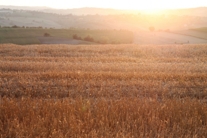 Campagna, Montecolombo foto di PH. Paritani