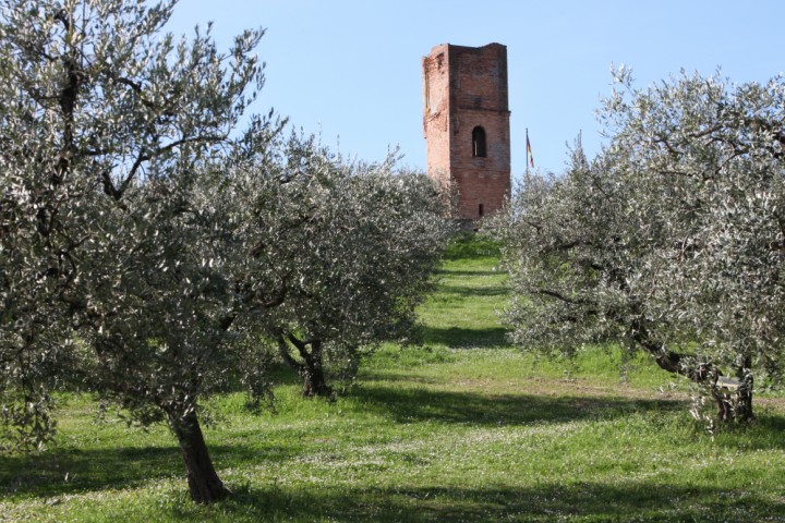 Trarivi church, Montescudo photo by PH. Paritani